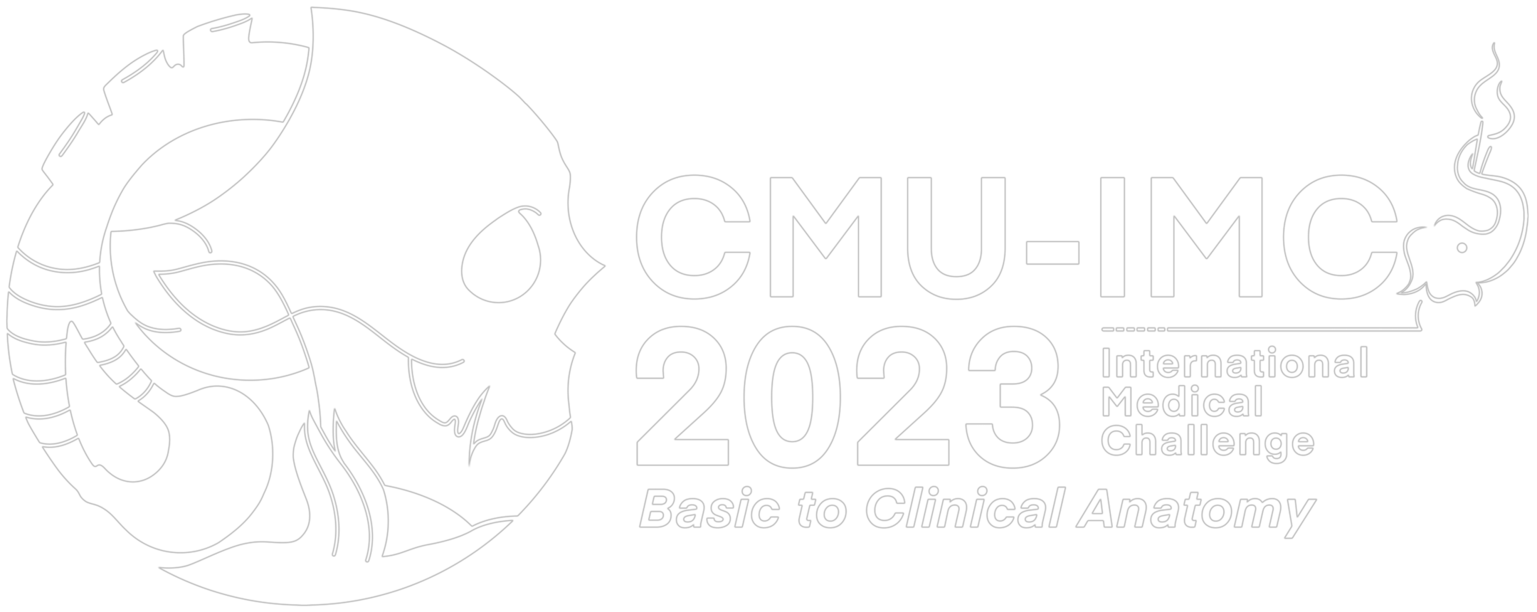 CMU-IMC 2023